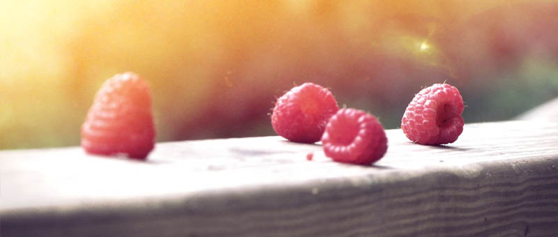 企业定制版的免费攻击网站